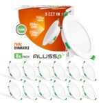 ileidžiamos led lemputes